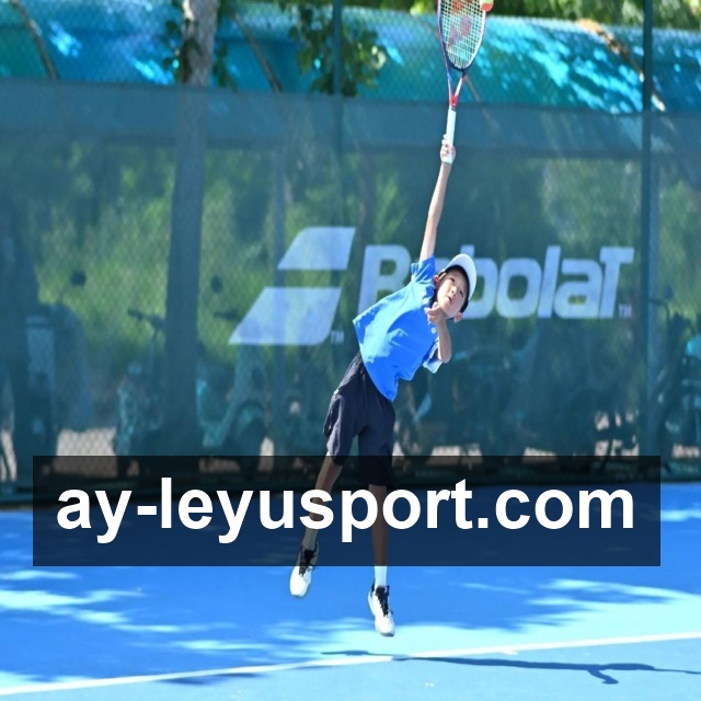 <strong>乐鱼体育</strong>App 示例图